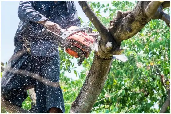 tree services Bixby